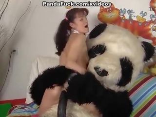חוּשָׁנִי נערה זיונים עם נבזי panda דוב