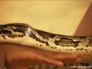 Bollywood și the feeric snake